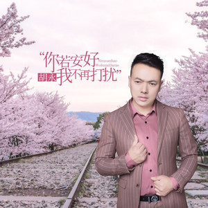 你若安好我不再打扰 (伴奏)