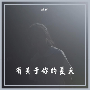 有关于你的夏天
