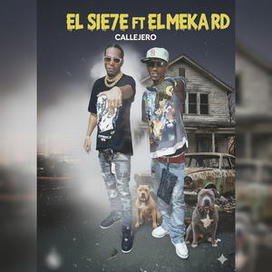 CALLEJERO (REMIX)