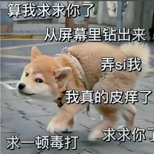 逐光