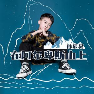 在阿尔卑斯山上