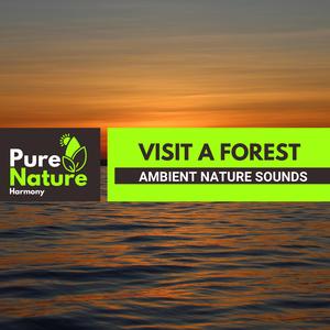 The Great old Darkeyed Junco