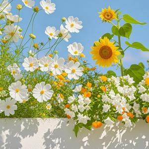 弥生之春·疗愈系纯音乐