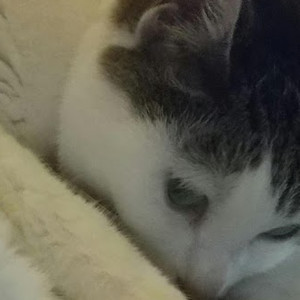 奪ってばかりじゃダメよ