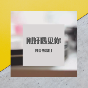 刚好遇见你 (抖音DJ版）