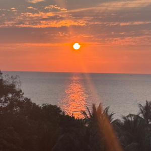 林间漫步（钢琴版）