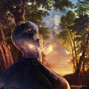 Fill The Void (Original Mix)