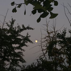 火象星座（remix）