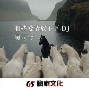 有些爱情放不下（DJ旋律版）