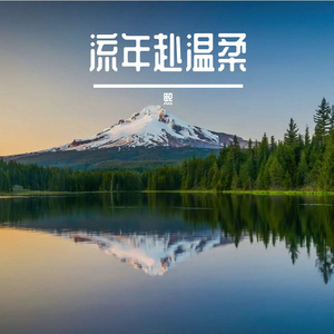 流年赴温柔