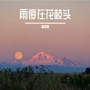 雨停在花枝头