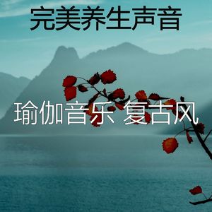 柔和的伸展运动时刻