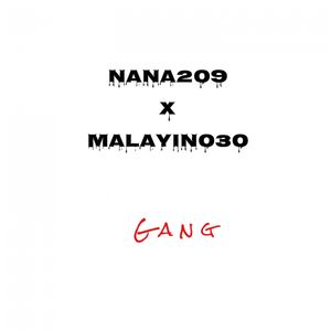 Gang