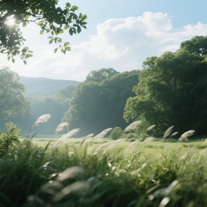 風を追い越して