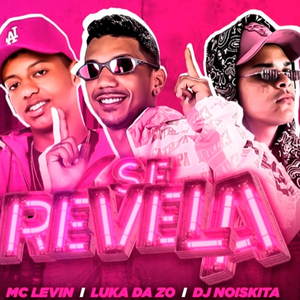 Se Revela (feat. MC Levin & DJ Noiskita)