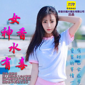 胡杨林 - 香水有毒 - (精心慢摇舞曲制作舒适版)