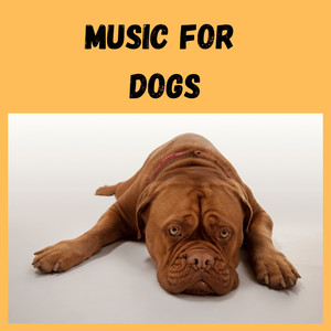 Music For Dogs
