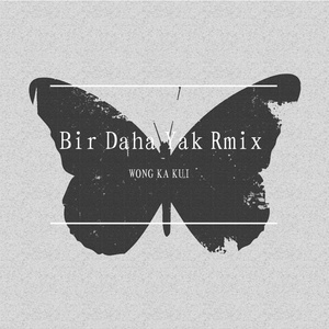 Bir Daha Yak Rimx