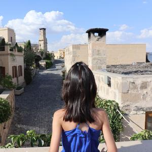 洛杉矶（cover LBI利比）