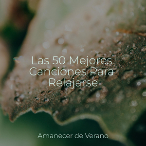 Emociones Transitorias Esperan