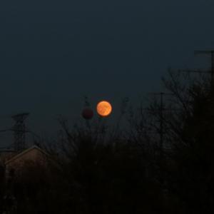 你一定能够成为你想要去成为的人