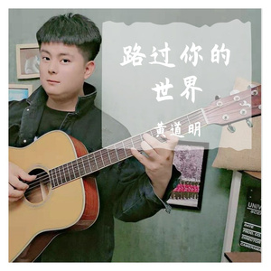 路过你的世界-Dm黄道明