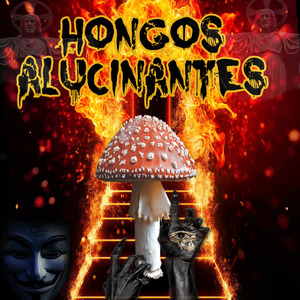 Hongos Alucinantes