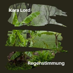 Regenstimmung