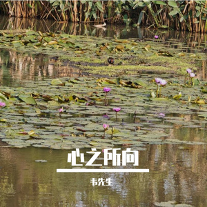 心之所向