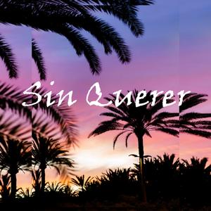 Sin Querer