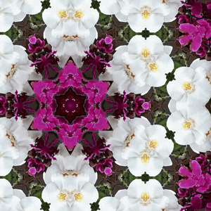 As you delve deep into realms of transformation