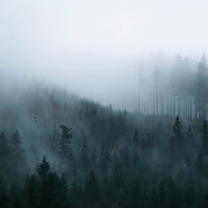 梦里水乡 (民族乐器 纯音乐)