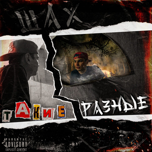 Такие разные