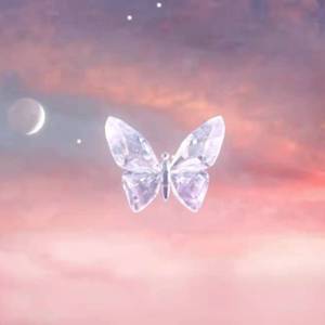 月亮忘了（KISMET）