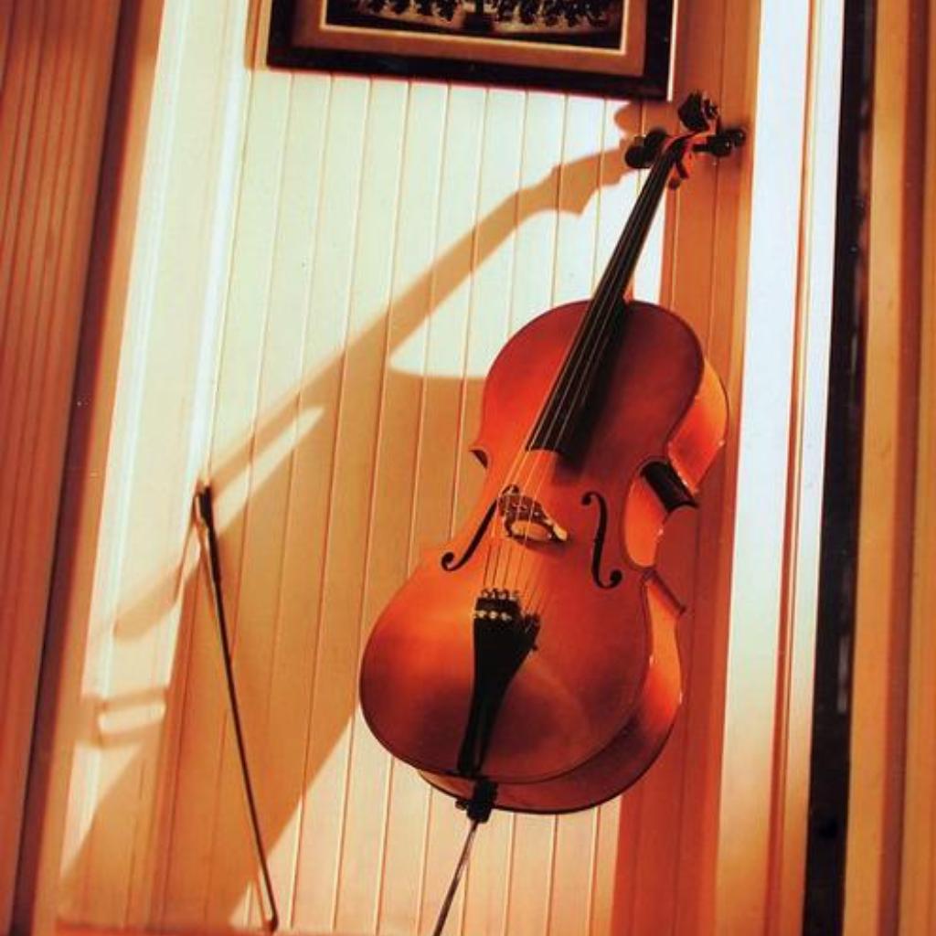 violoncello