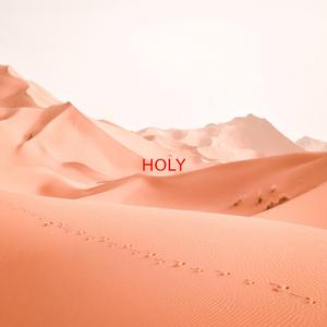 H.O.L.Y. (HOLY) (Instrumental version originally performed by Florida Georgia Line)