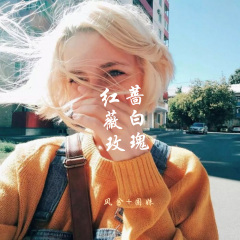 回忆有斑 (Remix)