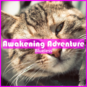 Awakening Adventure