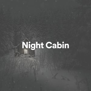 Night Cabin, Pt. 25