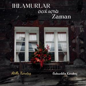 Ihlamurlar Çiçek Açtığı Zaman