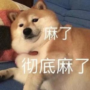 几许风雨