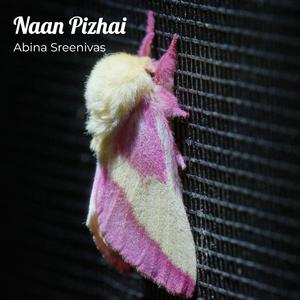 Naan Pizhai
