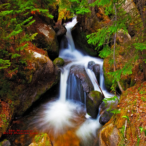 Rocky Mountain Creek