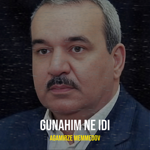 Gunahim Ne Idi