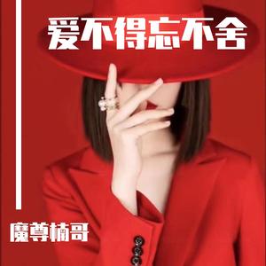 爱不得忘不舍(抖音完整版)