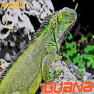 Iguana