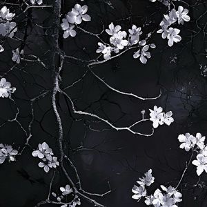 回忆里的漂泊客