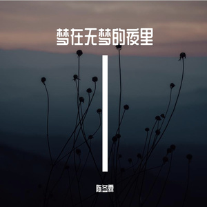 梦在无梦的夜里