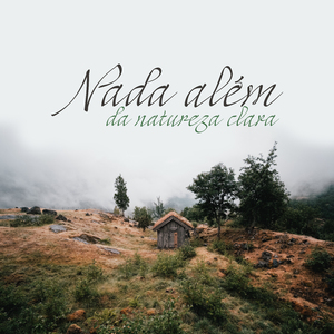 Ninho de Seaguls no penhasco