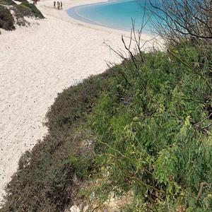 Bu Vibe (feat. Arley)